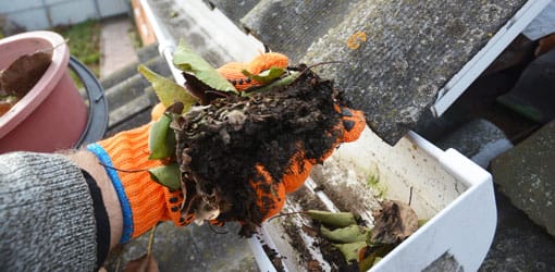 nettoyage des feuilles dans les gouttières